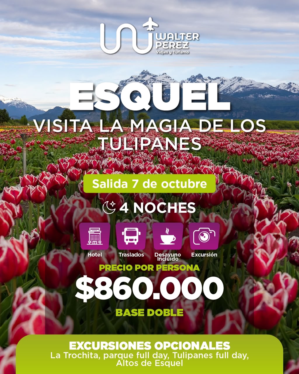 Detalle Esquel y la magia de los tulipanes