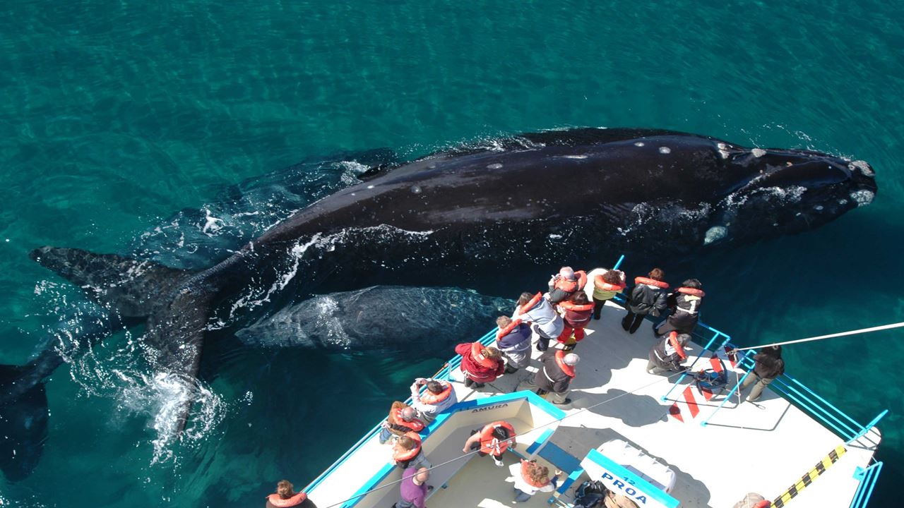 Puerto Madryn